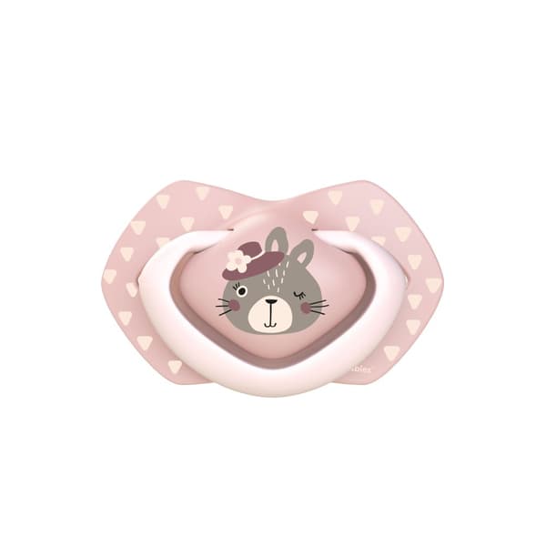 CANPOL BABIES silicone symmetrical soothers BONJOUR PARIS, 0-6m, 2 pcs, 22/647_pin