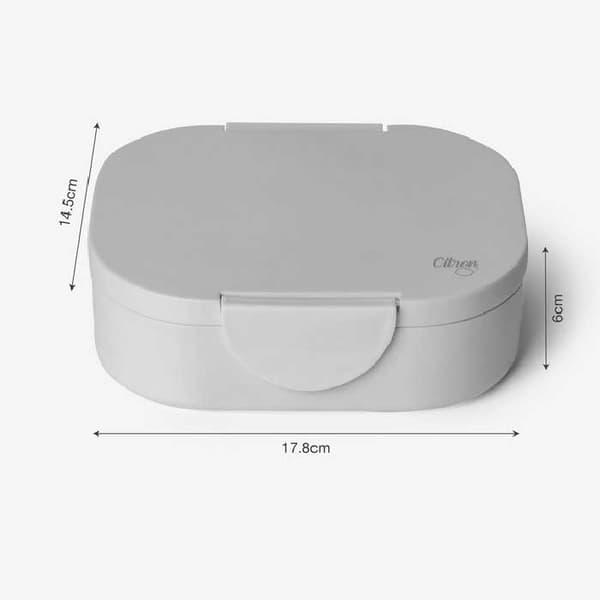 Citron Vehicle Pla Container
