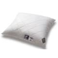 Miniatyrbillede 1 af 5: Quiltet antiallergisk pude 70x80 mikrofiber AMZ