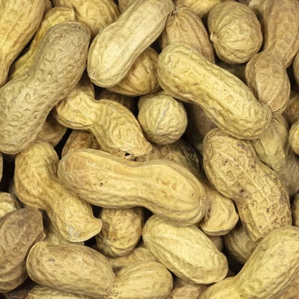 Maapähkinät 500 g