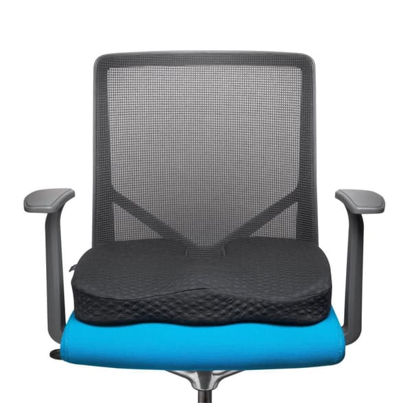 Stolskudde KENSINGTON Premium