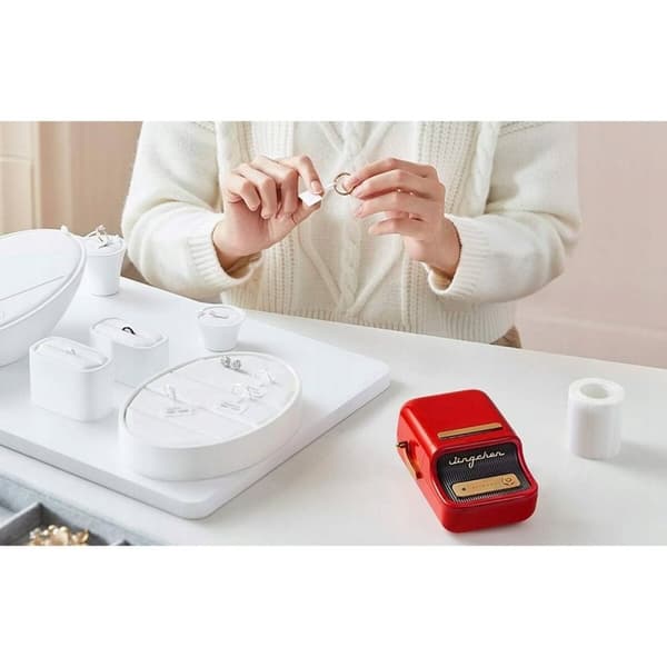 Manuell märkningsmaskin NIIMBOT B21S RED