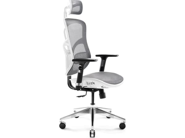 Diablo Chairs V-Basic White and Gray armchair