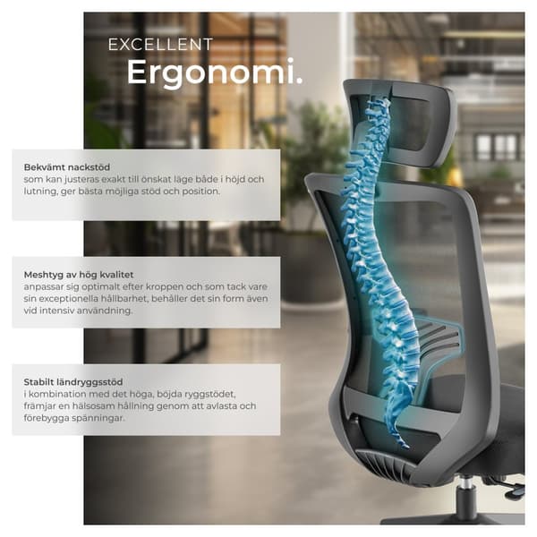 Kontorsstol Phoibe, ergonomisk med justerbart nackstöd - svart