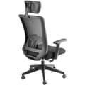 Miniatyrbillede 5 af 11: Kontorstol Phoibe, ergonomisk - sort