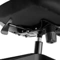 Miniatyrbillede 11 af 11: Kontorstol Phoibe, ergonomisk - sort