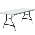 Miniatyrbillede 1 af 6: Sammenklappeligt bord Lifetime Hvid Stål Plastik 182 x 73,5 x 76 cm