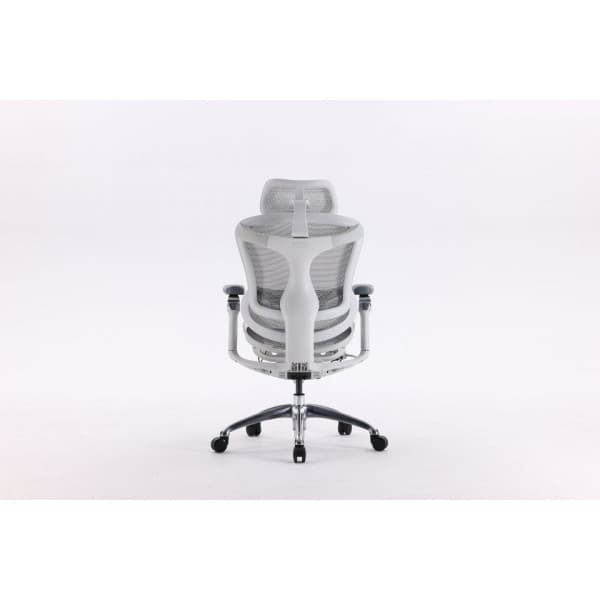 Sihoo Doro C300 -ergonomisk kontorsstol, vit