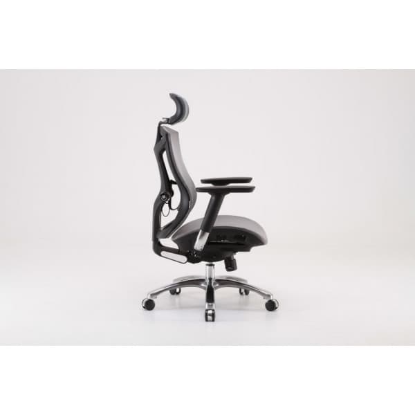 Sihoo V1 - ergonomisk kontorsstol, grå