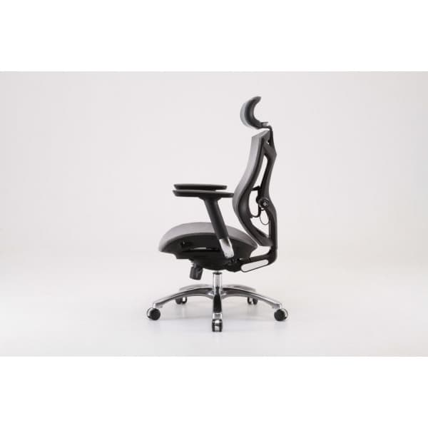 Sihoo V1 - ergonomisk kontorsstol, grå