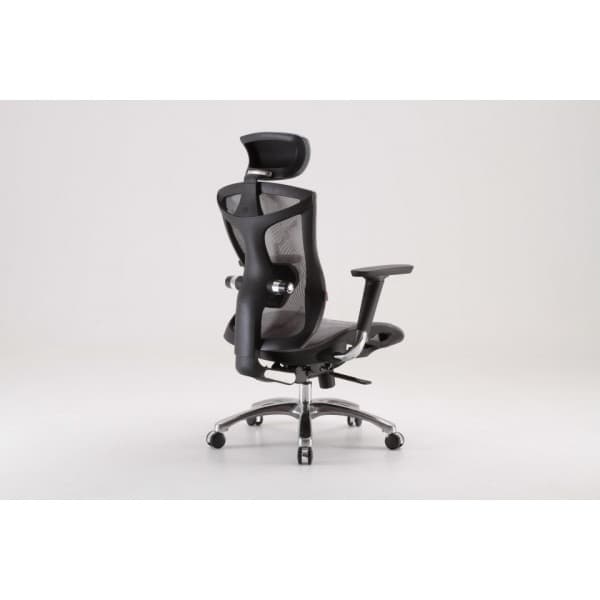 Sihoo V1 - ergonomisk kontorsstol, grå