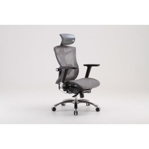 Sihoo V1 - ergonomisk kontorsstol, grå