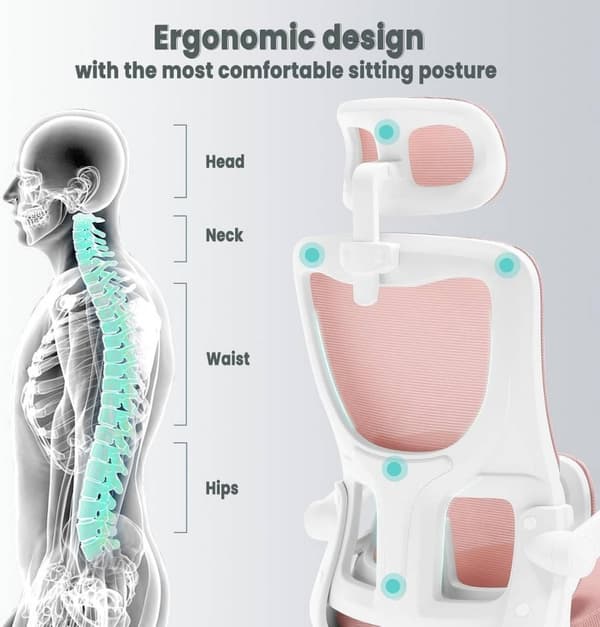 Rootz Ergonominen toimistotuoli - Mesh-kääntötuoli - Tietokonetuoli - Ristiseläntuki - Säädettävä niskatuki - 62cm x 116-123,5cm x 69,5cm