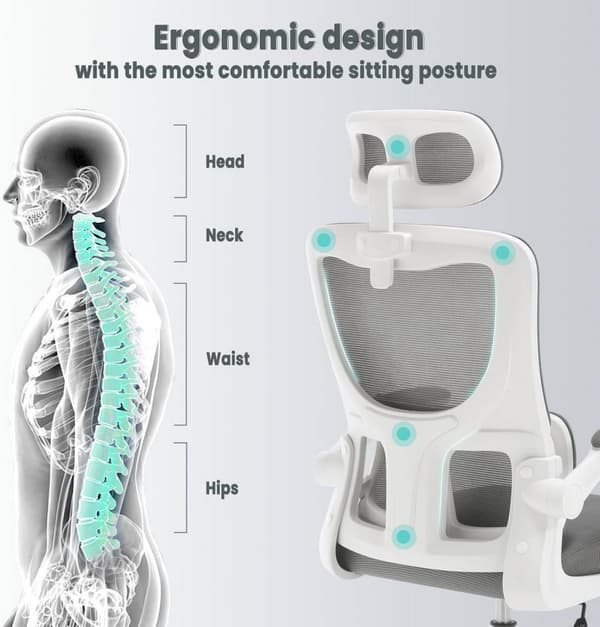 Rootz Ergonominen toimistotuoli - Pöytätuoli - Kääntötuoli - Elastinen verkko - Rinnetuki - 62cm x (116-123,5)cm x 69,5cm