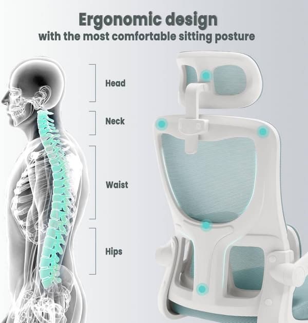Rootz Ergonomic Office Chair - Mesh Skrivebordsstol - Lændestøtte - Vippefunktion - Justerbar nakkestøtte - 62cm x (116-123,5)cm x 69,5cm