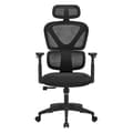 Miniatyrbillede 2 af 2: Ergonomisk kontorstol med justerbart ryglæn