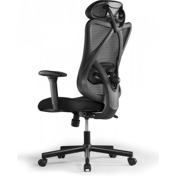 ErgoWork Lumbacker -arbetsstol, svart