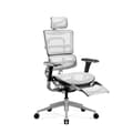 Miniatyrbild 2 av 6: Ergonomisk kontorsstol - Diablo - V-Master - 3D-armstöd - Svankstöd - Svart-Vit V-Mesh-tyg