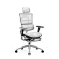 Miniatyrbild 1 av 6: Ergonomisk kontorsstol - Diablo - V-Master - 3D-armstöd - Svankstöd - Svart-Vit V-Mesh-tyg