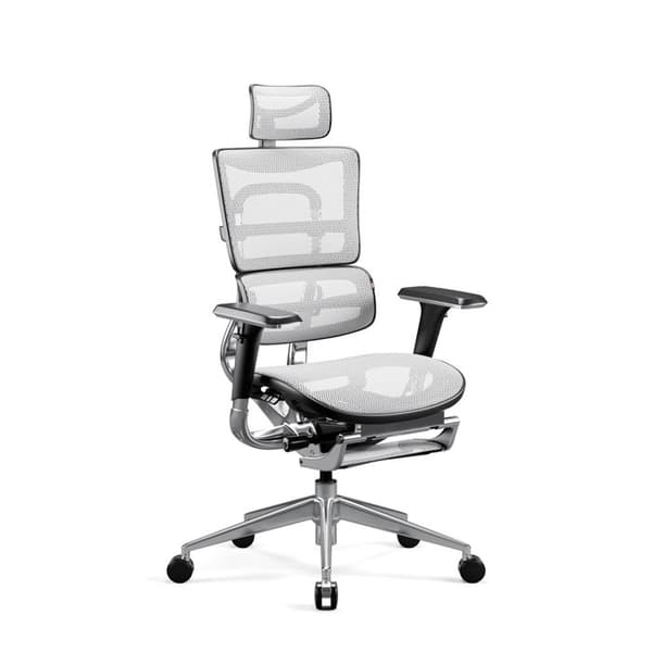 Ergonomisk kontorsstol - Diablo - V-Master - 3D-armstöd - Svankstöd - Svart-Vit V-Mesh-tyg