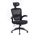 Miniatyrbild 2 av 6: Ergonomisk Kontorsstol - Woxter - Ergo Black - Höjdjusterbar - Armstöd - Andningsbart Tyg