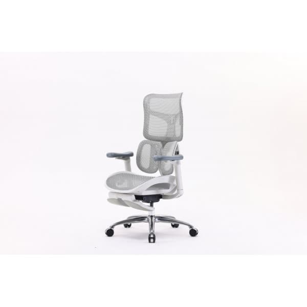 Sihoo Doro S100 - ergonomisk kontorsstol med fotstöd, grå