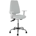 Miniatyrbild 1 av 2: Kontorsstol - PIQUERAS Y CRESPO - 1014ASB40B5CRRP - Ergonomisk - Justerbar i höjdled - Ljusgrå