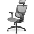 Miniatyrbild 1 av 3: Kontorsstol - OfficePal - C30M - Ergonomisk - Justerbara armstöd 3D - Justerbart ryggstöd