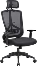 Miniatyrbilde 1 av 7: Ergonomisk skrivebordsstol med korsryggstøtte, sort