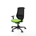 Miniatyrbillede 2 af 7: Kontorstol Piqueras y Crespo D036G0H Pistacie