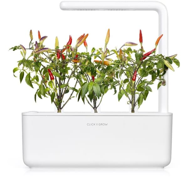 Click & Grow Smart Garden refill Rød chilipepper 3 stk