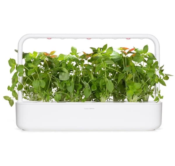 Click & Grow Smart Refill Sitronbasilikum 3stk