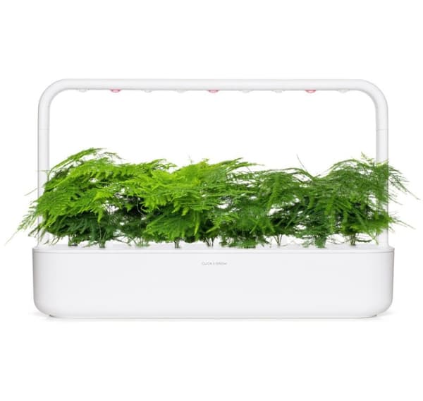 Click & Grow Smart Refill Feather spar 3st