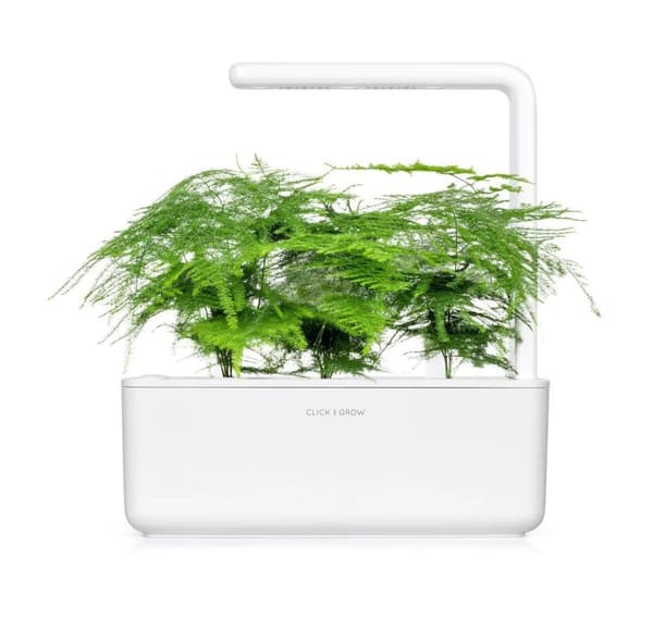 Click & Grow Smart Refill Feather spar 3st