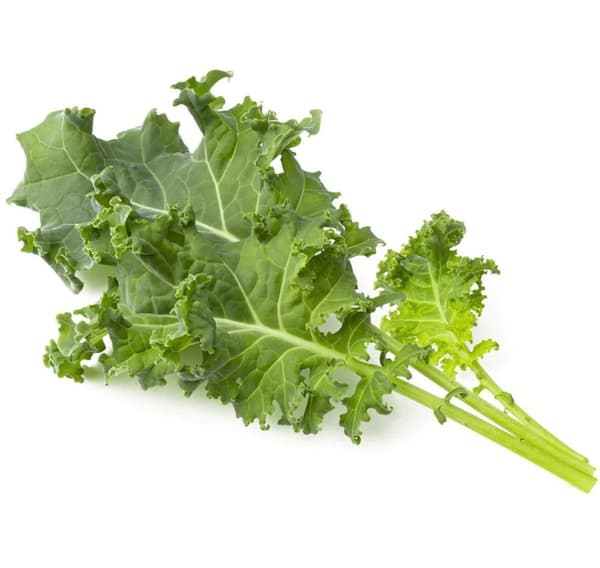 Click & Grow Smart Refill Green Kale 3pcs