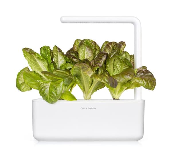 Click & Grow Smart Refill Rød romaine salat 3stk