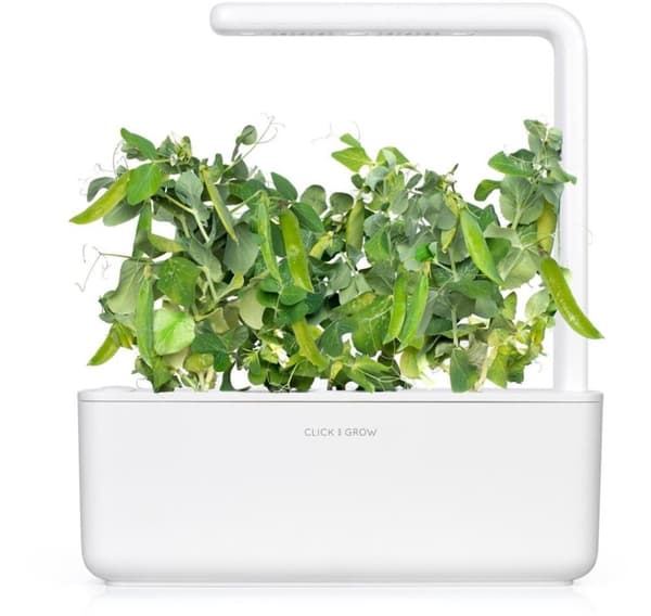 Click & Grow Smart Garden refill Dwarf Pea 3stk