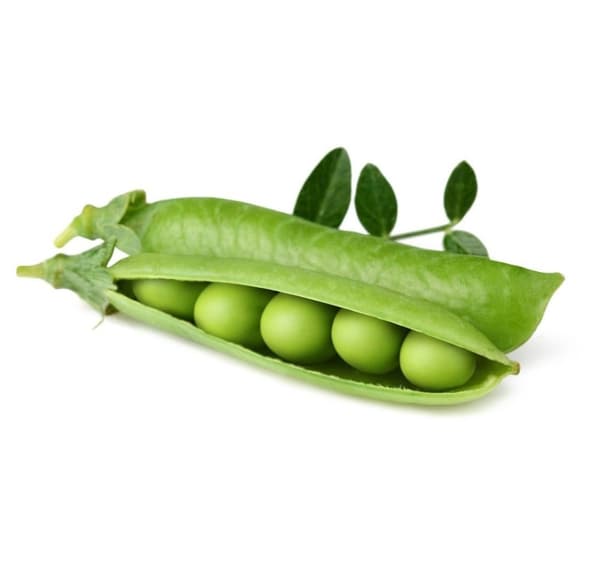 Click & Grow Smart Garden refill Dwarf Pea 3stk
