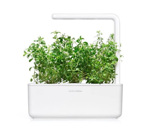 Click & Grow Smart Garden refill Mountain Savory 3pcs