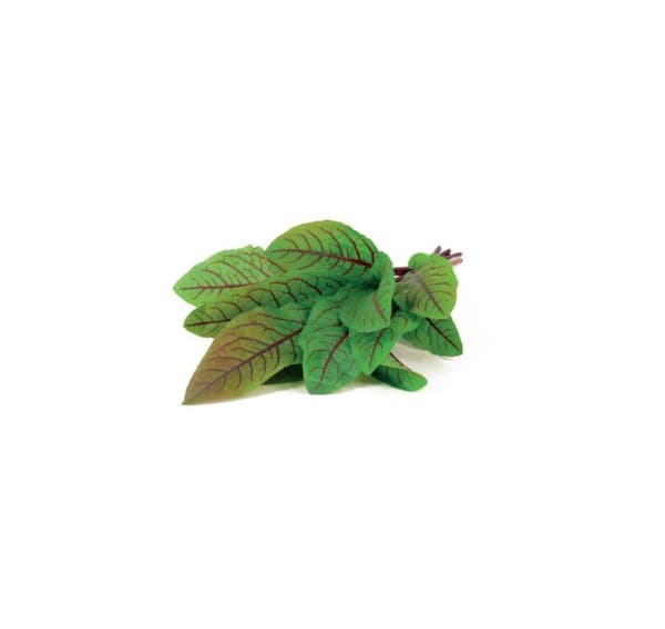 Click & Grow Smart Garden refill Verev form 3 st