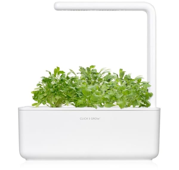 Click & Grow Smart Garden refill Karse 3stk