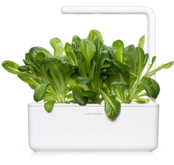 Click & Grow Smart Garden refill Romaine Lettuce 3pcs
