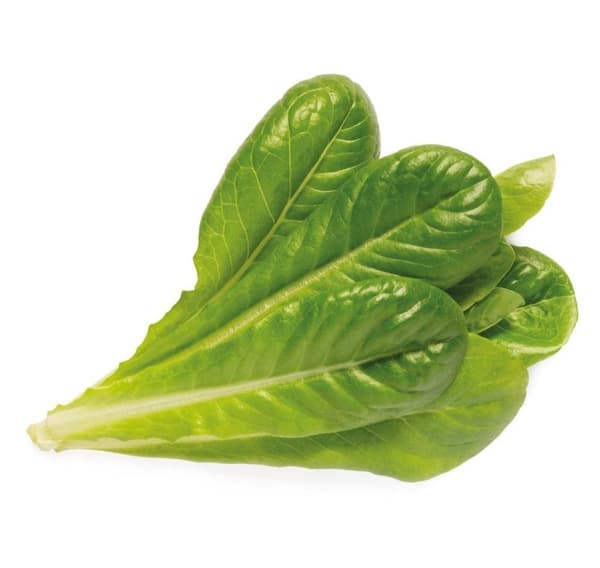 Click & Grow Smart Garden refill Romaine Lettuce 3pcs
