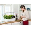 Miniatyrbild 3 av 4: Click & Grow Smart Garden 9 Pro, vit