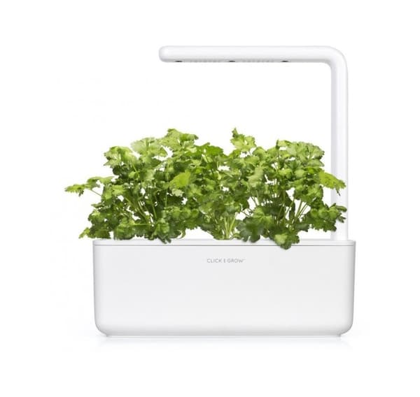 Click & Grow Smart Garden -täyttö Korianteri 3kpl