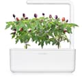 Miniatyrbild 2 av 3: Click & Grow Smart Garden refill Lila Chilipeppar 3st