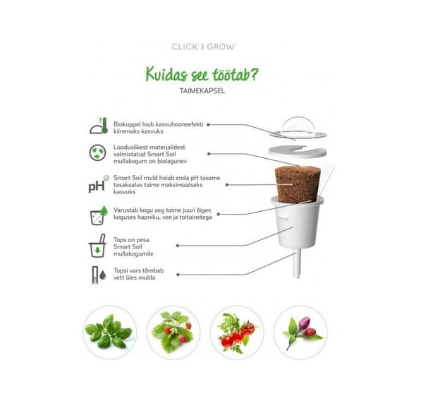 Click & Grow Smart Refill Italiensk Grønkål 3 stk