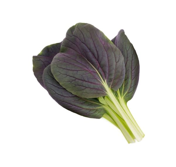 Click & Grow Smart Garden refill Punane Bok Choy 3pcs