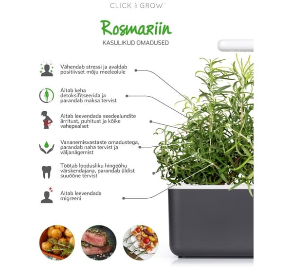 Click & Grow Smart Garden refill Rosemary 3stk