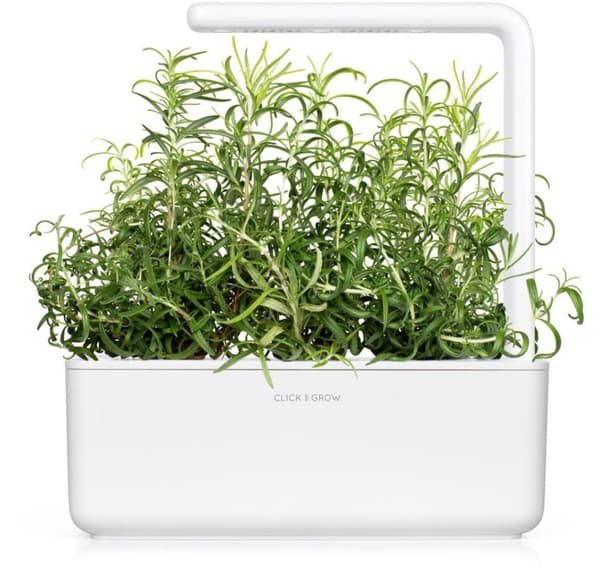 Click & Grow Smart Garden refill Rosemary 3stk